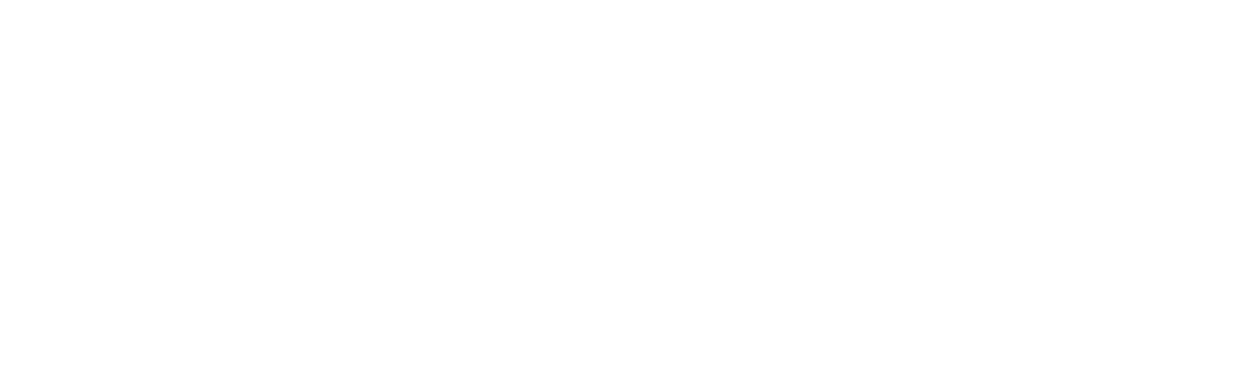 Explore Our Expertise